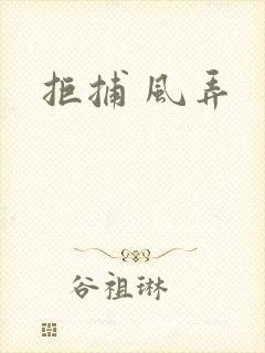 拒捕 风弄