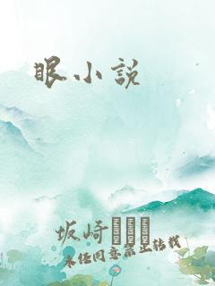 眼小说