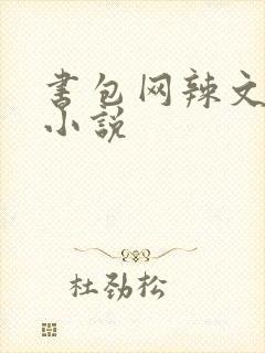 书包网辣文全本小说