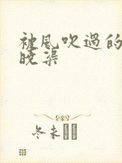 被风吹过的夏天晓渠