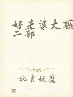 好老婆大联盟第二部