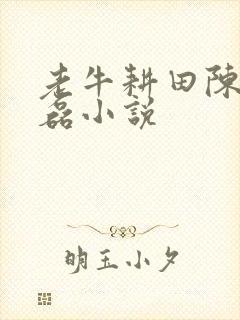 老牛耕田陈雪王磊小说