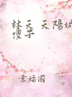 林天 天阳城 傻子