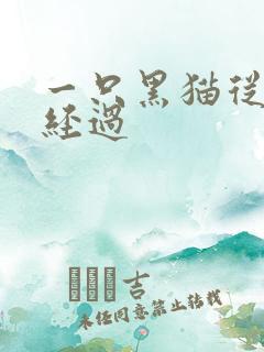 一只黑猫从眼前经过