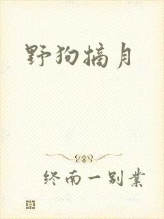 野狗摘月
