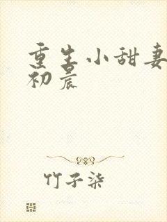 重生小甜妻 慕初晨