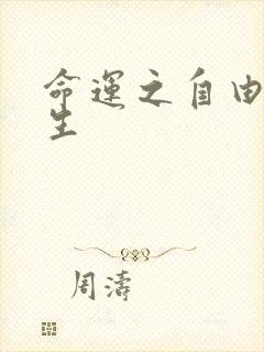 命运之自由的新生