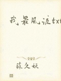 我最风流txt