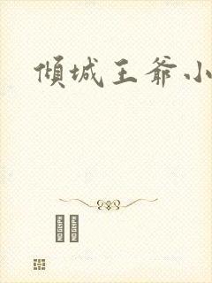 倾城王爷小小妃