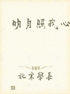 明月照我心小说