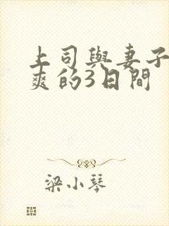 上司与妻子干到爽的3日间