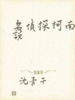 名侦探柯南h小说