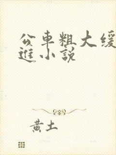 公车粗大缓缓挤进小说
