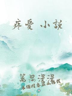 疼爱 小说