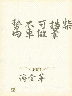 势不可挡柴鸡蛋肉车做晕