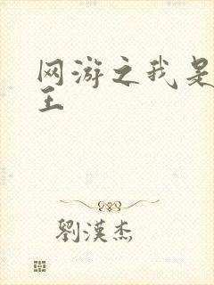 网游之我是海贼王