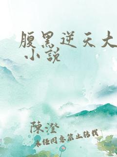 腹黑逆天大小姐 小说