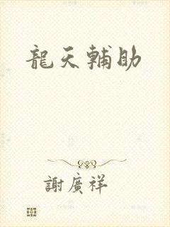 龙天辅助