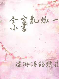 全家乱炖一锅烩小书