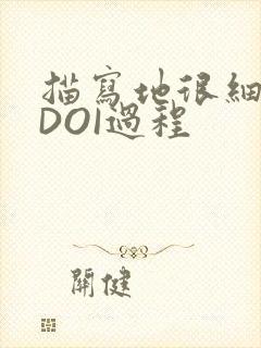 描写地很细致的DOI过程