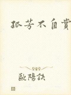 孤芳不自赏小说