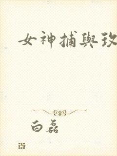 女神捕与玫瑰刀