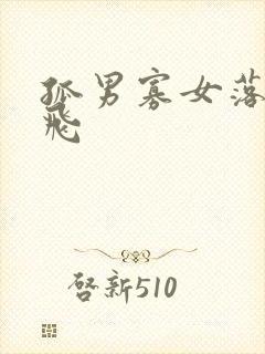 孤男寡女落瑛纷飞