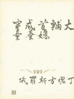 穿成首辅大人的童养媳