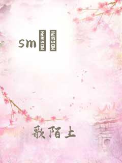 smˮŰ