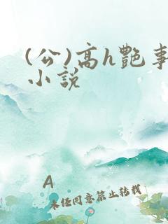 (公)高h艳事小说