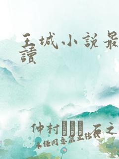 王城小说最近阅读