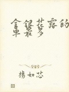 金银花露的哪个车最多