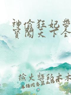 神偷狂妃带着宝宝闯天下全文免费阅读