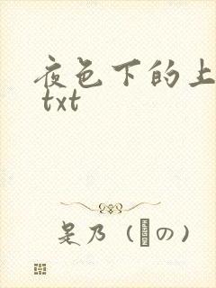 夜色下的上海滩 txt