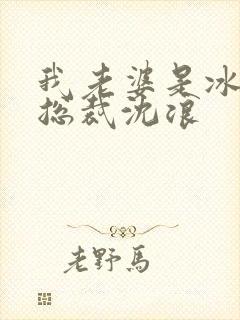 我老婆是冰山女总裁沈浪