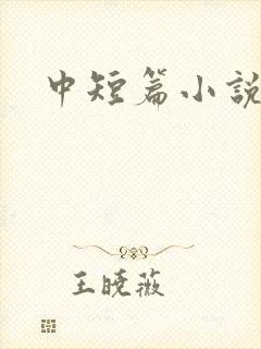 中短篇小说集