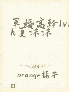 军婚高干1v1h夏沫沫