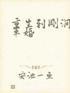 重生到刚洞房的军婚