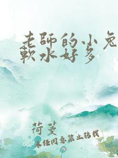 老师的小兔子好软水好多