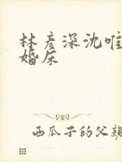 林彦深沈唯赖上婚床