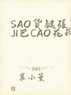 SAO货腿张开JI巴CAO死我