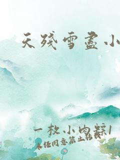 天残雪尽小说