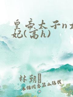 皇帝太子n太子妃(高h)