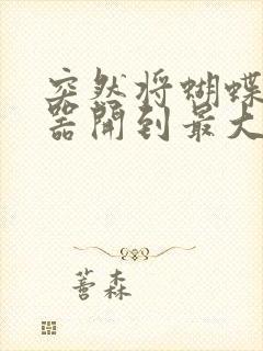 突然将蝴蝶遥控器开到最大