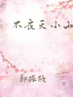 不夜天小山城