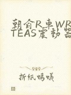 朝俞R车WRITEAS震动器