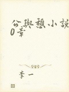 公与憩小说400章