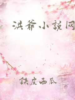 洪爷小说网