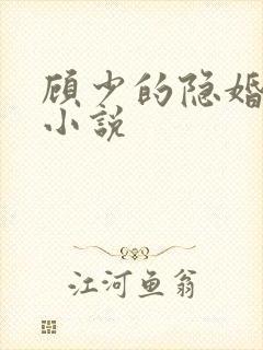 顾少的隐婚罪妻小说