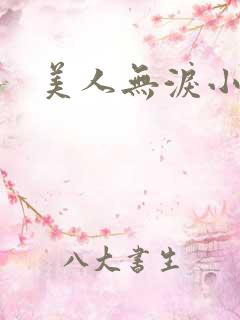 美人无泪小说